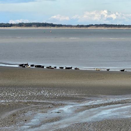 L'Instant Bed & Breakfast Cayeux-sur-Mer Bagian luar foto