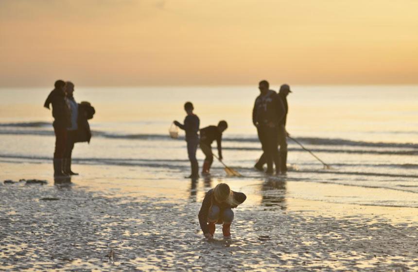 L'Instant Bed & Breakfast Cayeux-sur-Mer Bagian luar foto
