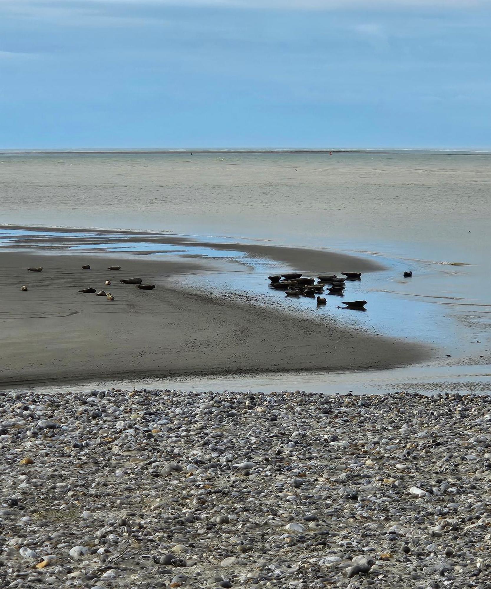 L'Instant Bed & Breakfast Cayeux-sur-Mer Bagian luar foto